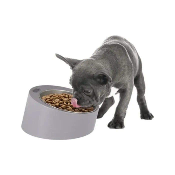 Zoofari Feeder Bowl with Built-in Scale for Dogs & Cats
